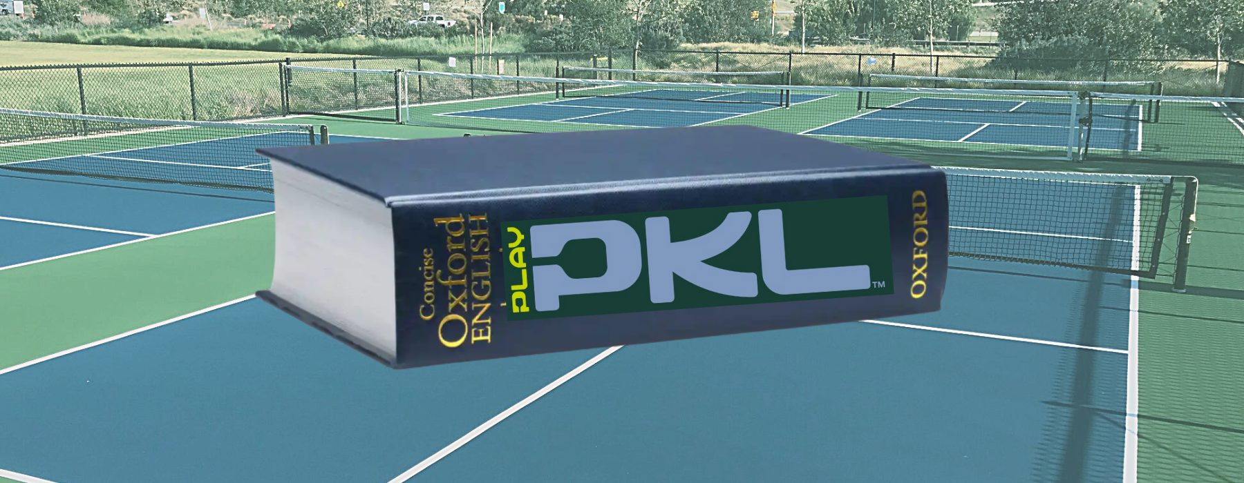 Pickleball Dictionary | Play-PKL